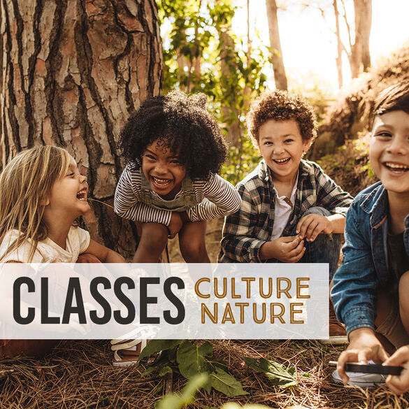 Les classes Culture - Nature