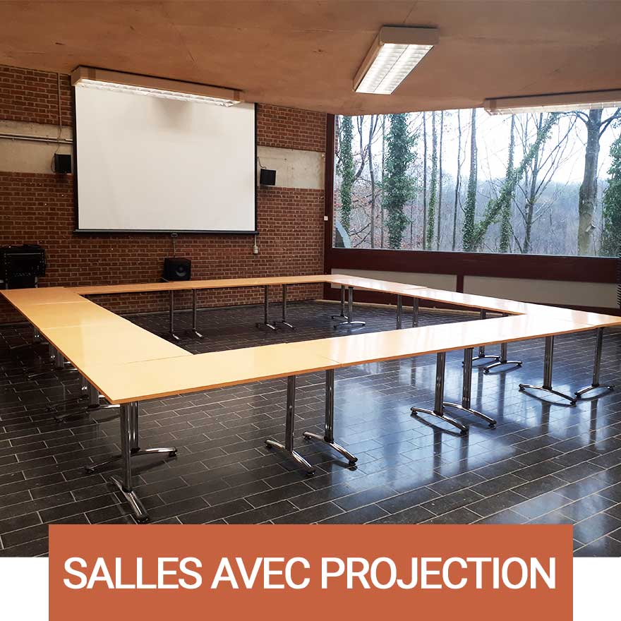 Salles avec projection