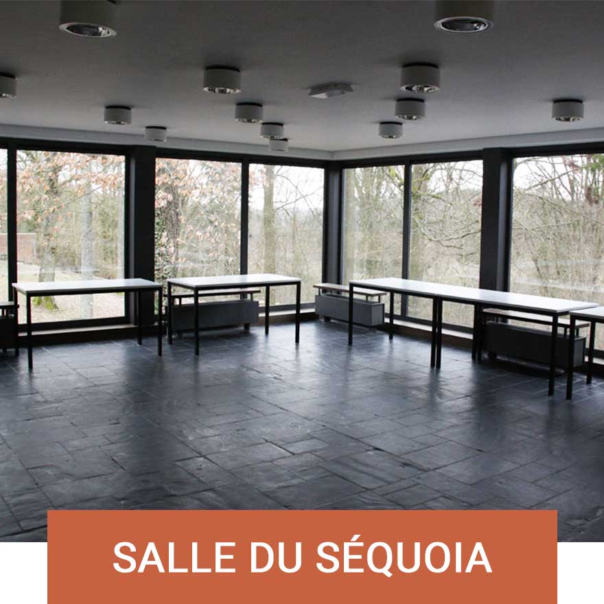 Salle du séquoia